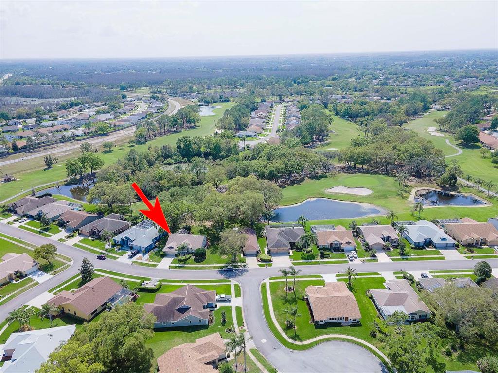 9744 Springmeadow Drive New Port Richey, FL 34655 - Photo 37 of 55 Gallery Image 37