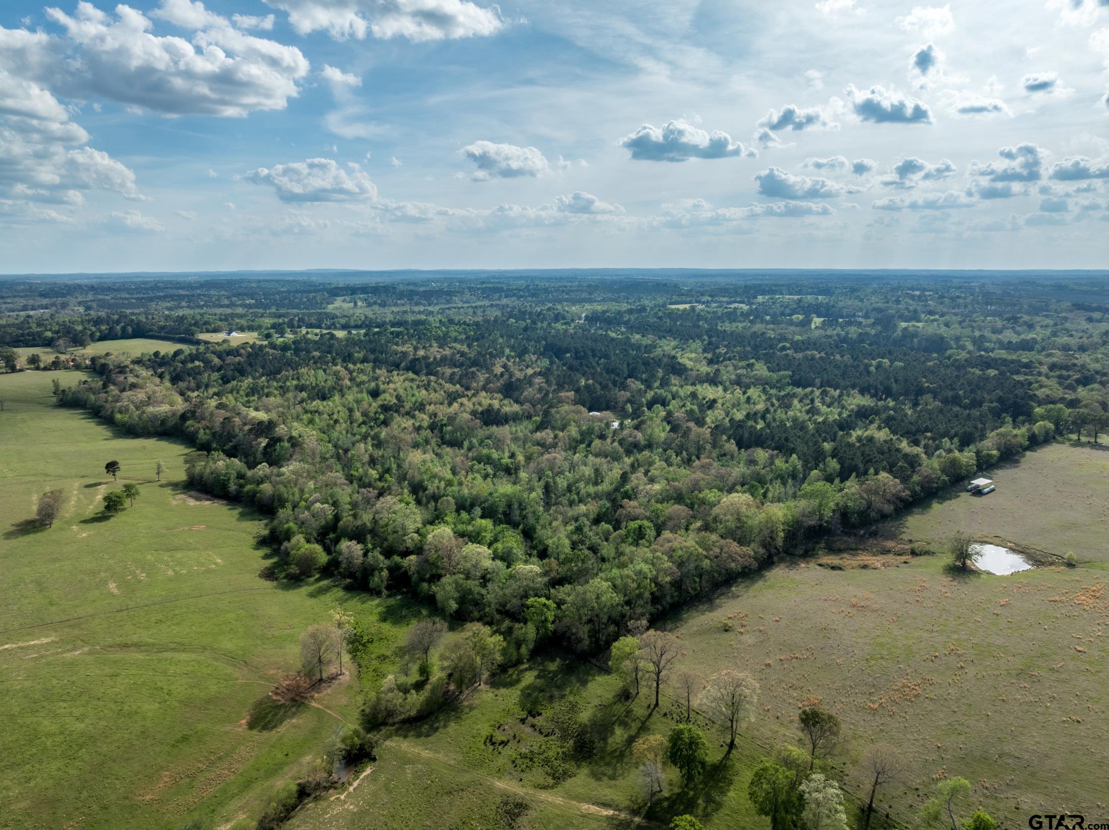0 White Tail Road Gilmer, TX 75644 - Photo 11 of 11