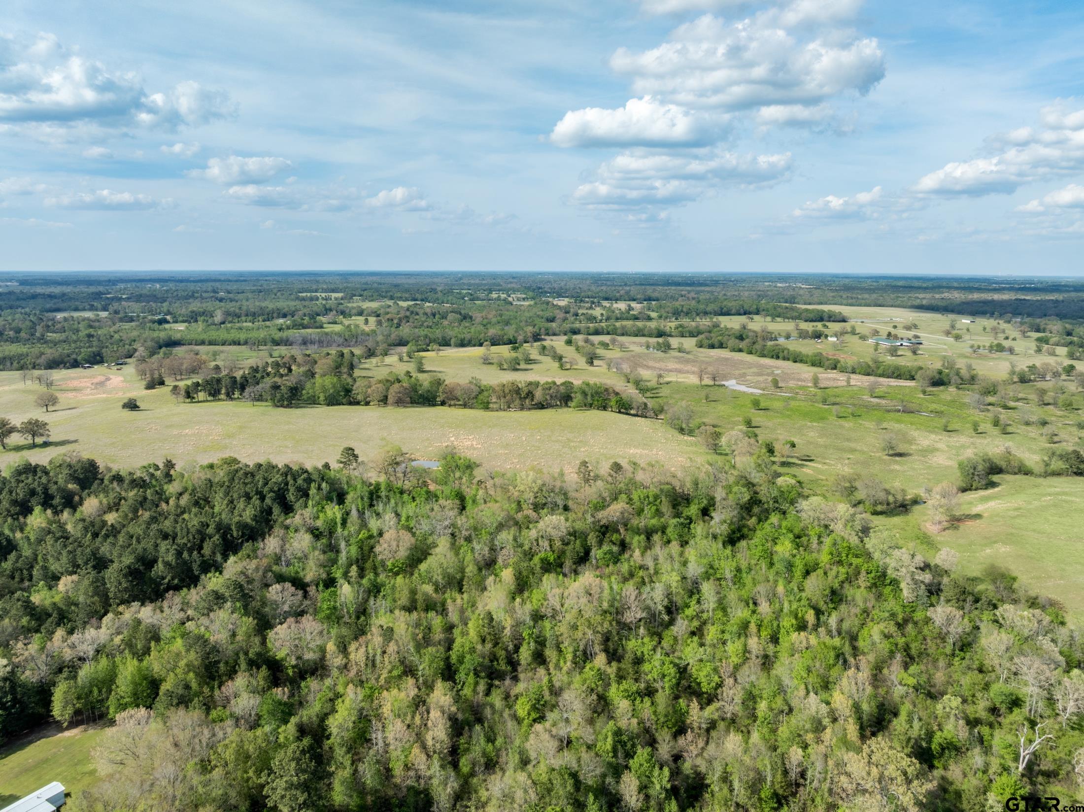 0 White Tail Road Gilmer, TX 75644 - Photo 4 of 11