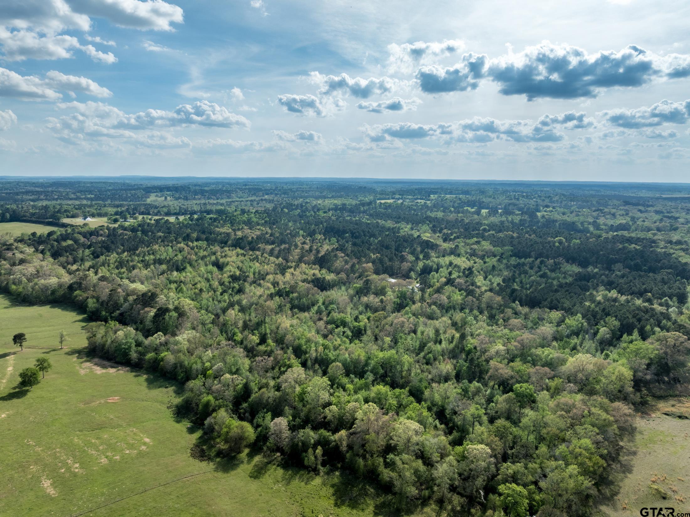0 White Tail Road Gilmer, TX 75644 - Photo 6 of 11