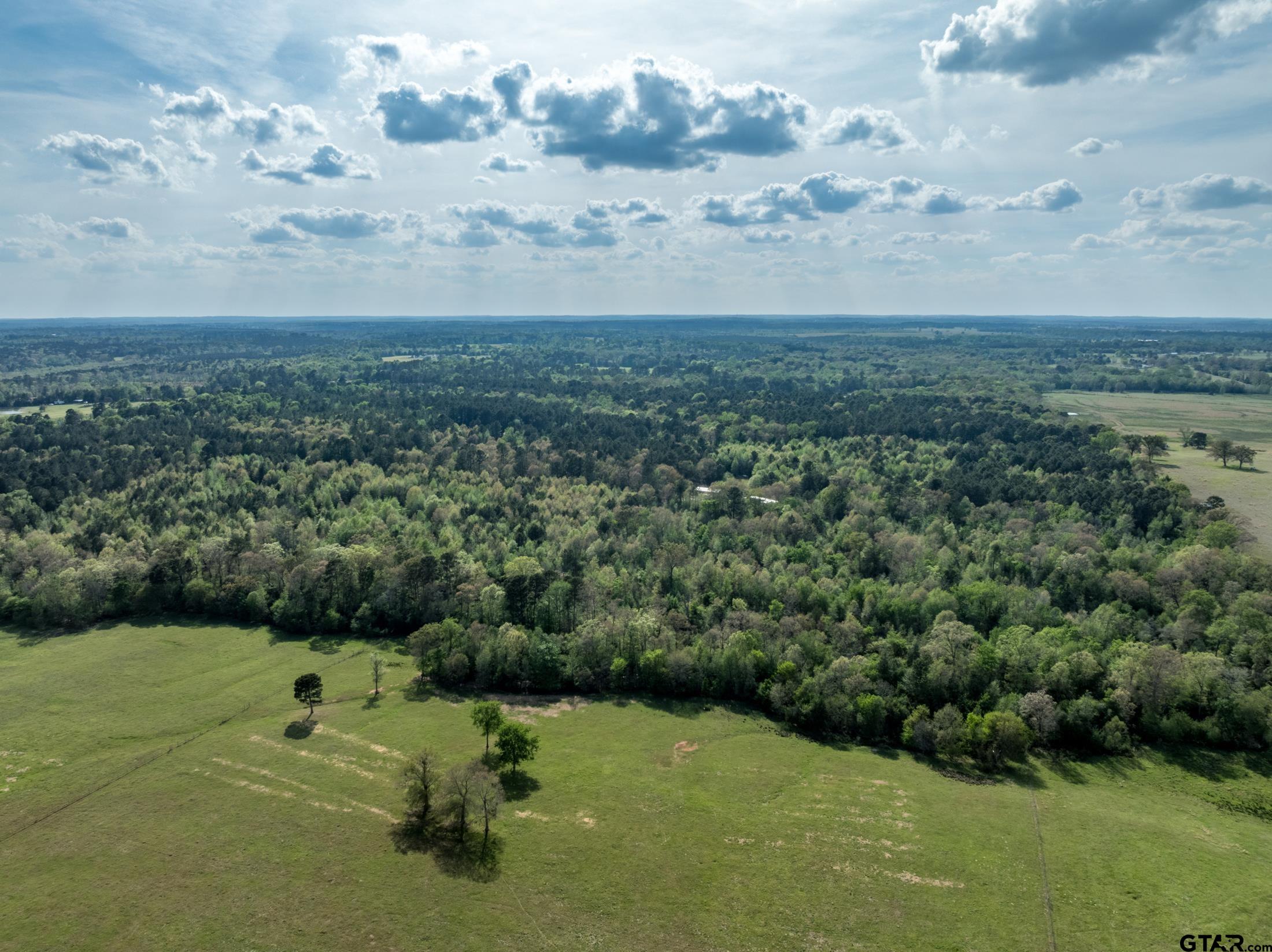 0 White Tail Road Gilmer, TX 75644 - Photo 7 of 11
