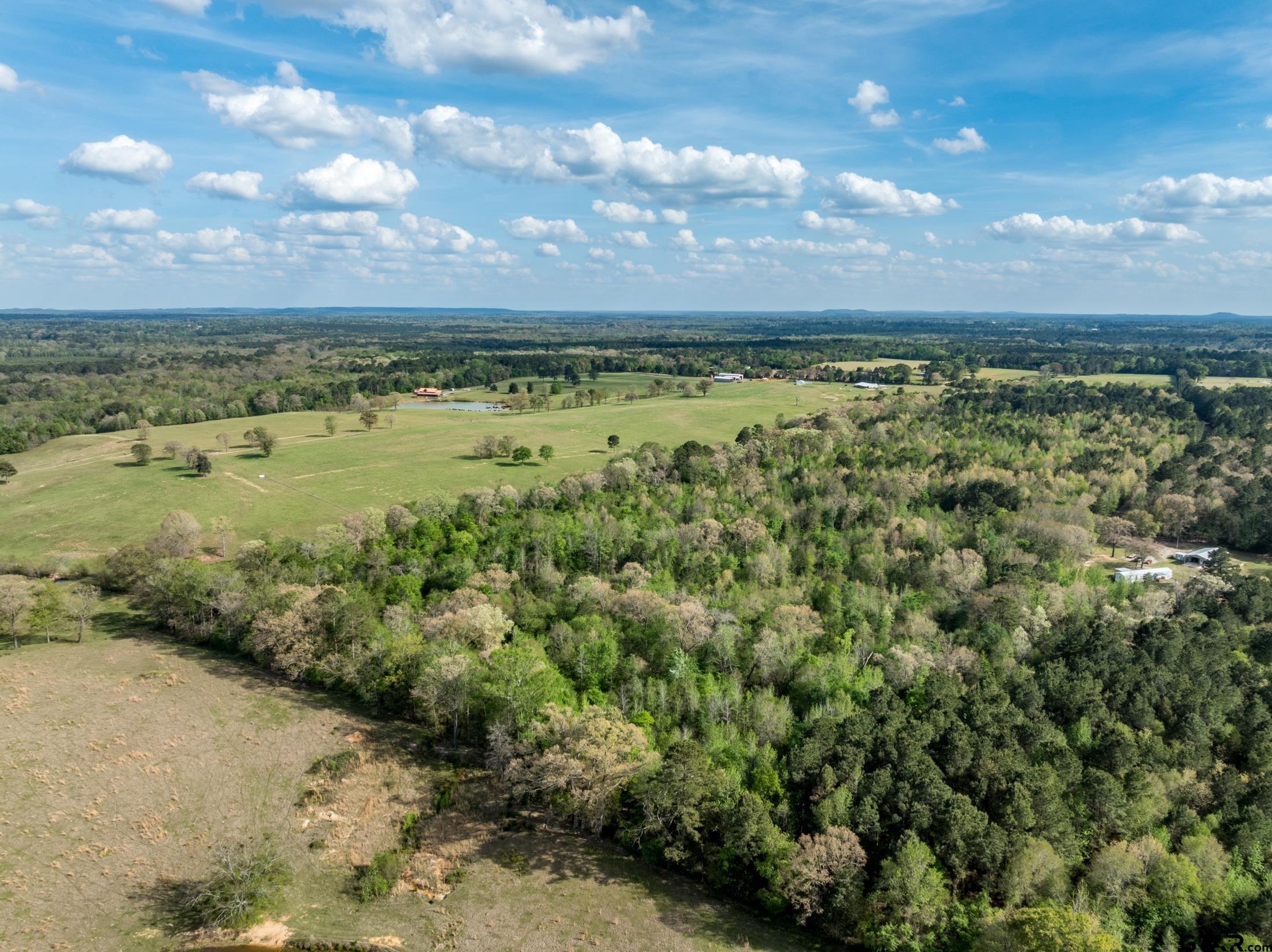 0 White Tail Road Gilmer, TX 75644 - Photo 9 of 11