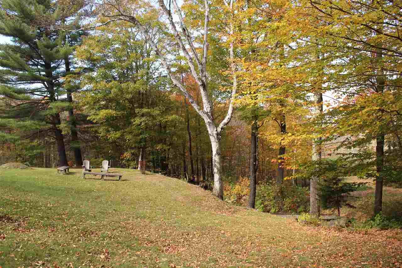 463 Curtis Hollow Road Reading, VT 05062 - Photo 35 of 39