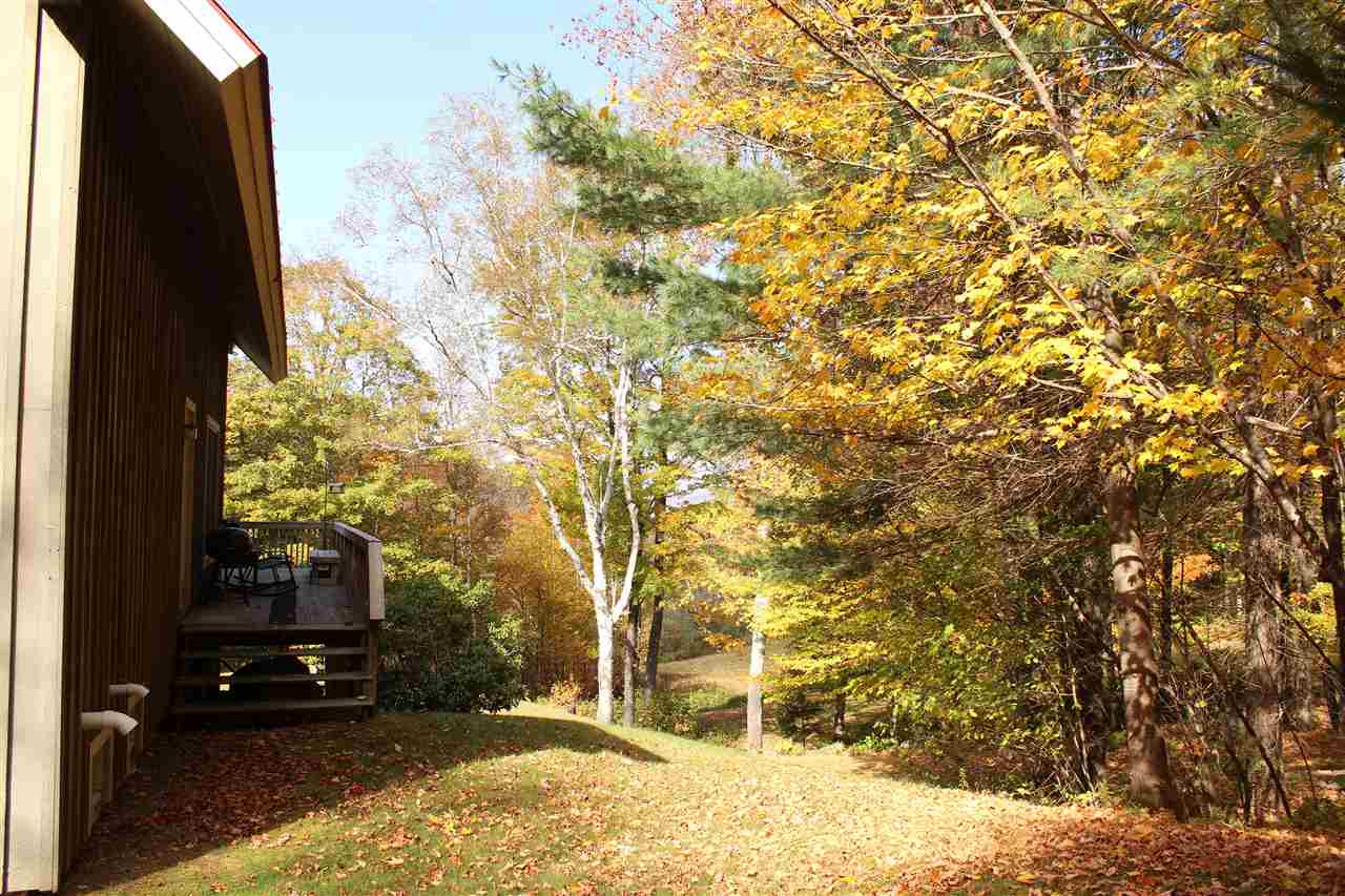463 Curtis Hollow Road Reading, VT 05062 - Photo 36 of 39