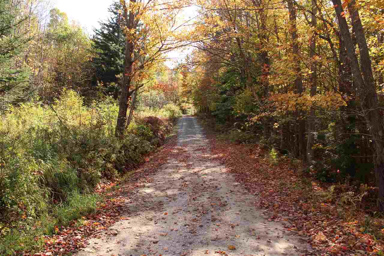 463 Curtis Hollow Road Reading, VT 05062 - Photo 38 of 39