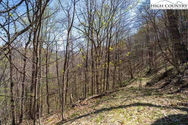 $75,000 | Lot 5 Wolfsbane Trail, Todd, NC 28684