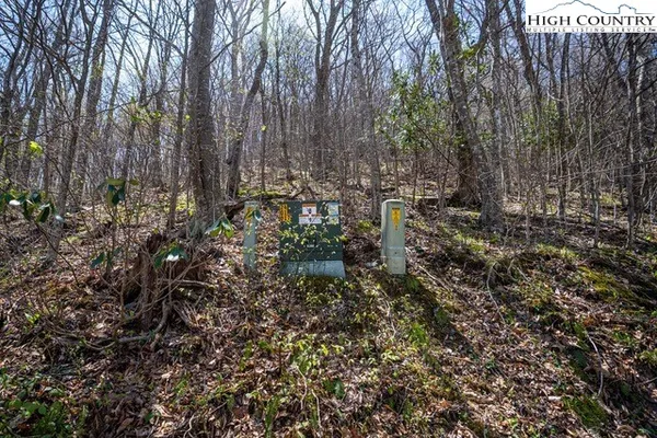 $75,000 | Lot 5 Wolfsbane Trail, Todd, NC 28684