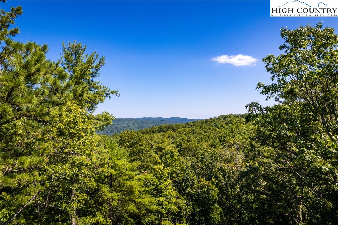 183 Marigold Road Boone, NC 28607 - Photo 7 of 50