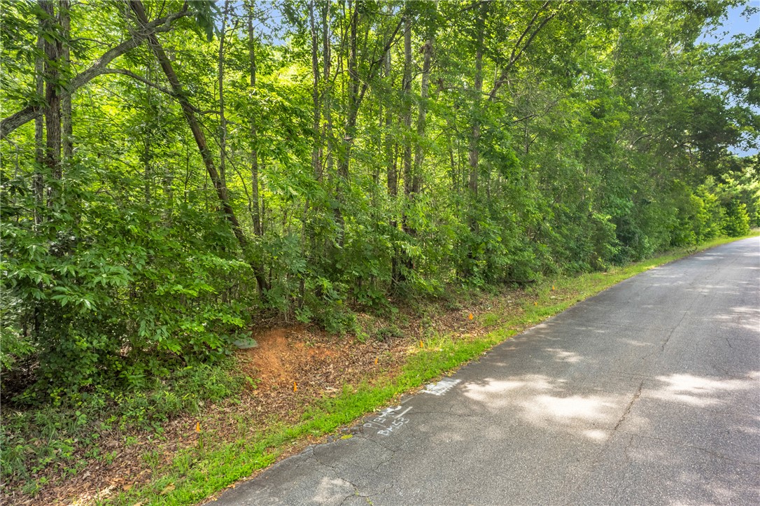 0 Roosevelt Thompson Road Anderson, SC 29621 - Photo 1 of 20