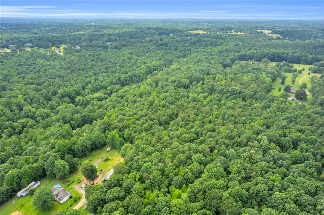 0 Roosevelt Thompson Road Anderson, SC 29621 - Photo 12 of 20
