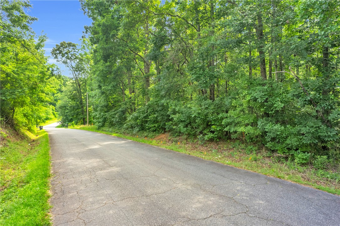 0 Roosevelt Thompson Road Anderson, SC 29621 - Photo 2 of 20