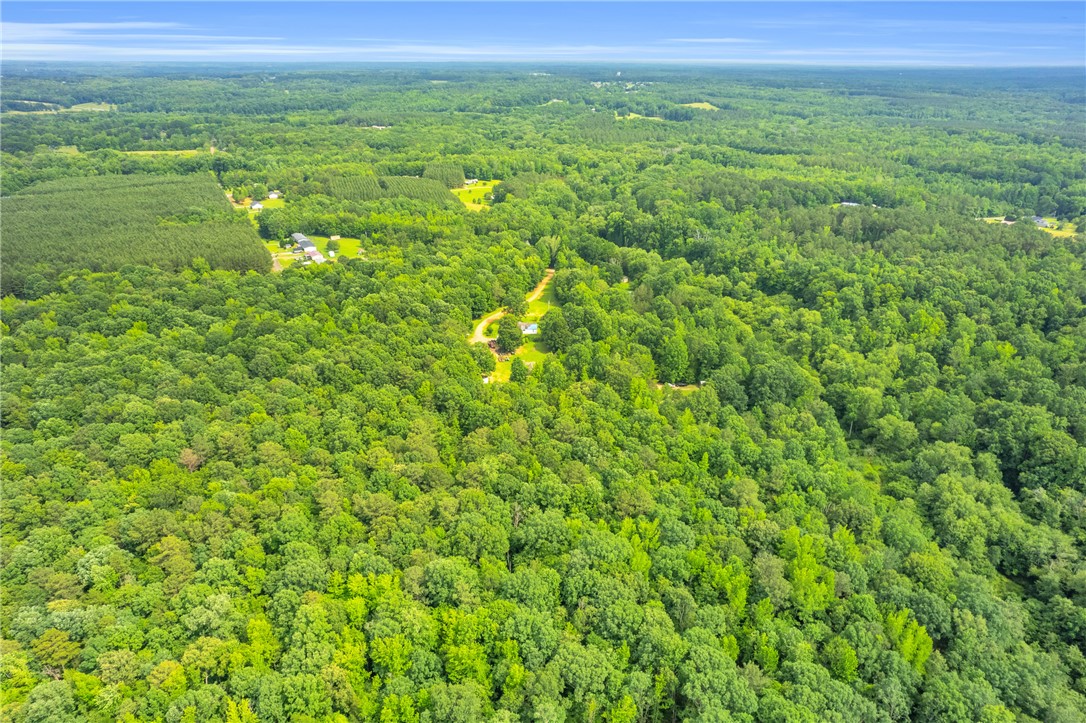 0 Roosevelt Thompson Road Anderson, SC 29621 - Photo 8 of 20
