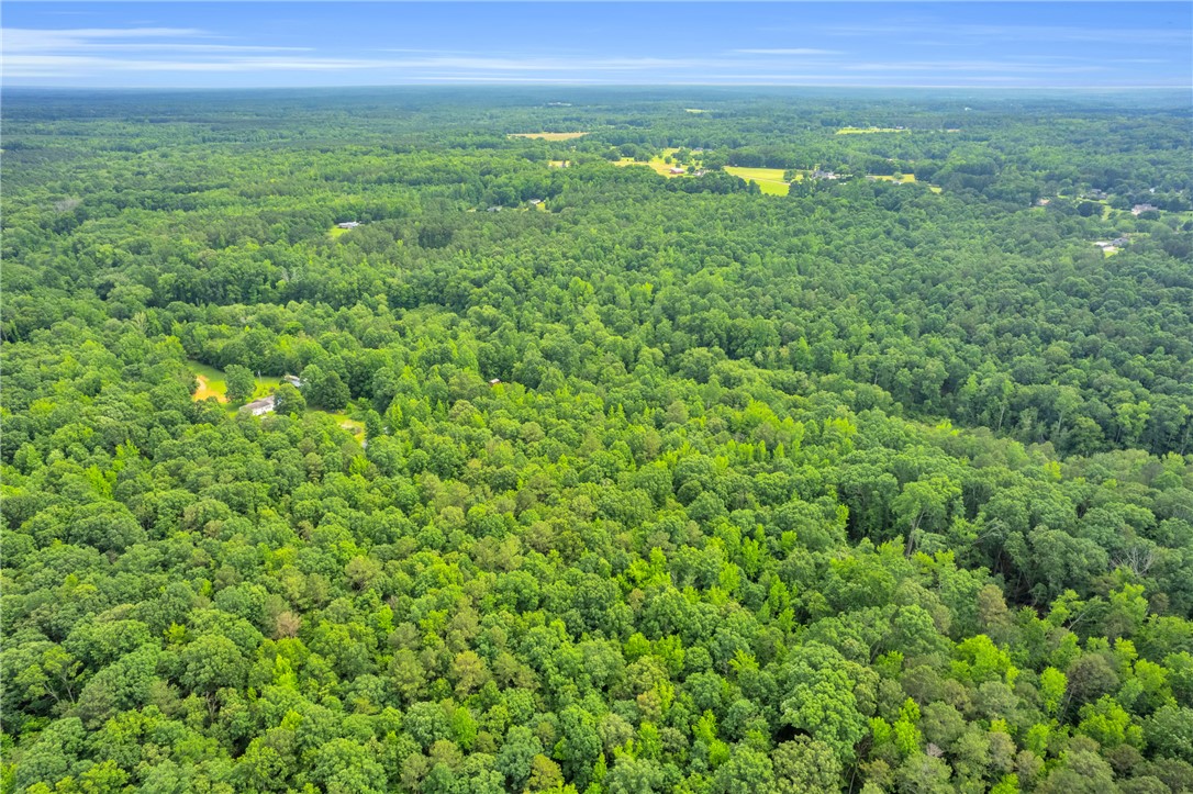 0 Roosevelt Thompson Road Anderson, SC 29621 - Photo 9 of 20