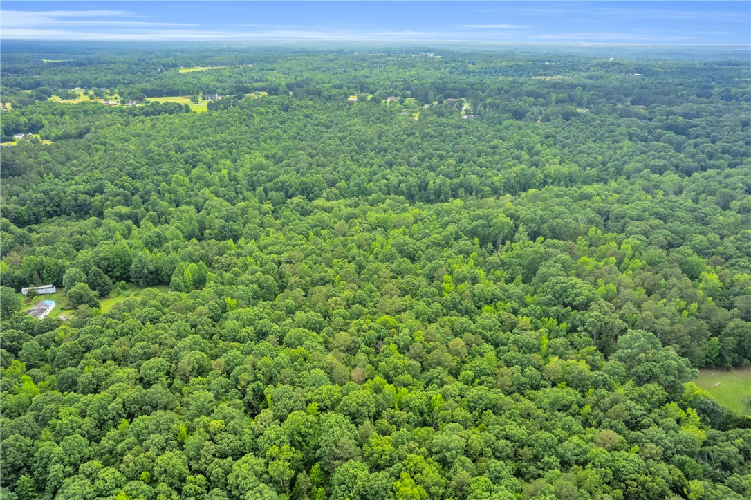 0 Roosevelt Thompson Road Anderson, SC 29621 - Photo 10 of 20
