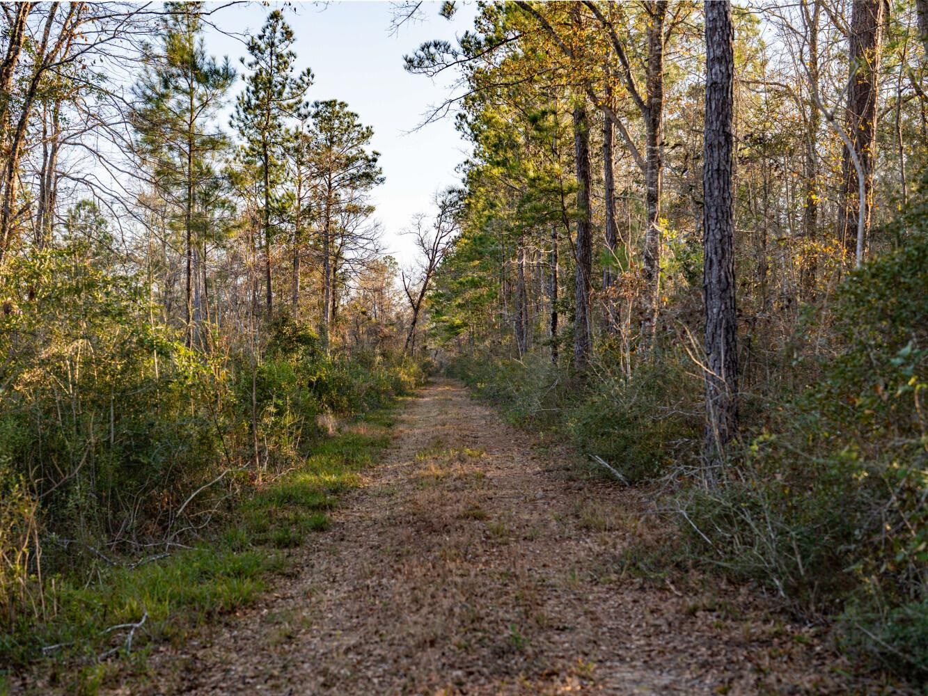 0 Kennedy Road Bon Secour, AL 36511 - Photo 18 of 25