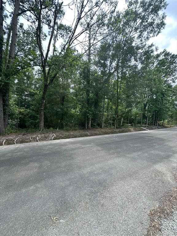 Angus Drive Ragley, LA 70657 - Photo 6 of 7