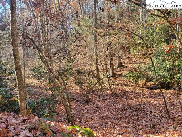 $18,000 | Lake Front Drive, Fleetwood, NC 28626