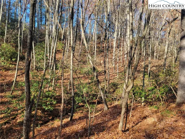 $18,000 | Lake Front Drive, Fleetwood, NC 28626