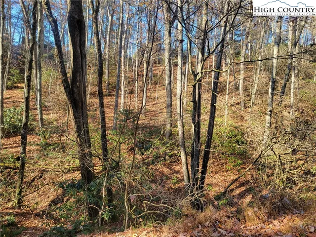 $18,000 | Lake Front Drive, Fleetwood, NC 28626