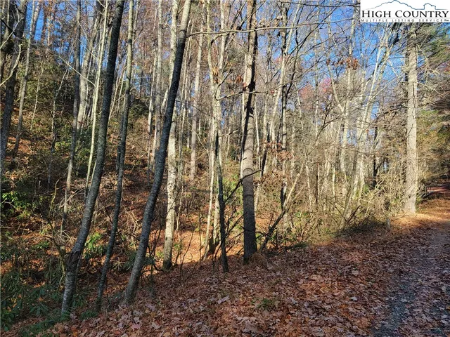 $18,000 | Lake Front Drive, Fleetwood, NC 28626