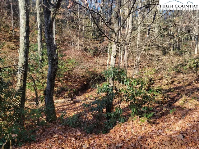 $18,000 | Lake Front Drive, Fleetwood, NC 28626