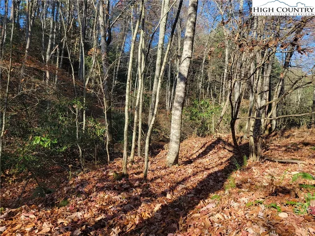 $18,000 | Lake Front Drive, Fleetwood, NC 28626