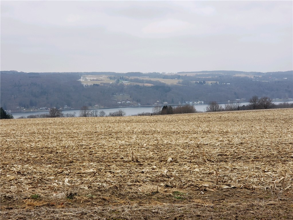 0 Rockefeller Road Moravia, NY 13118 - Photo 1 of 1 Gallery Image 1