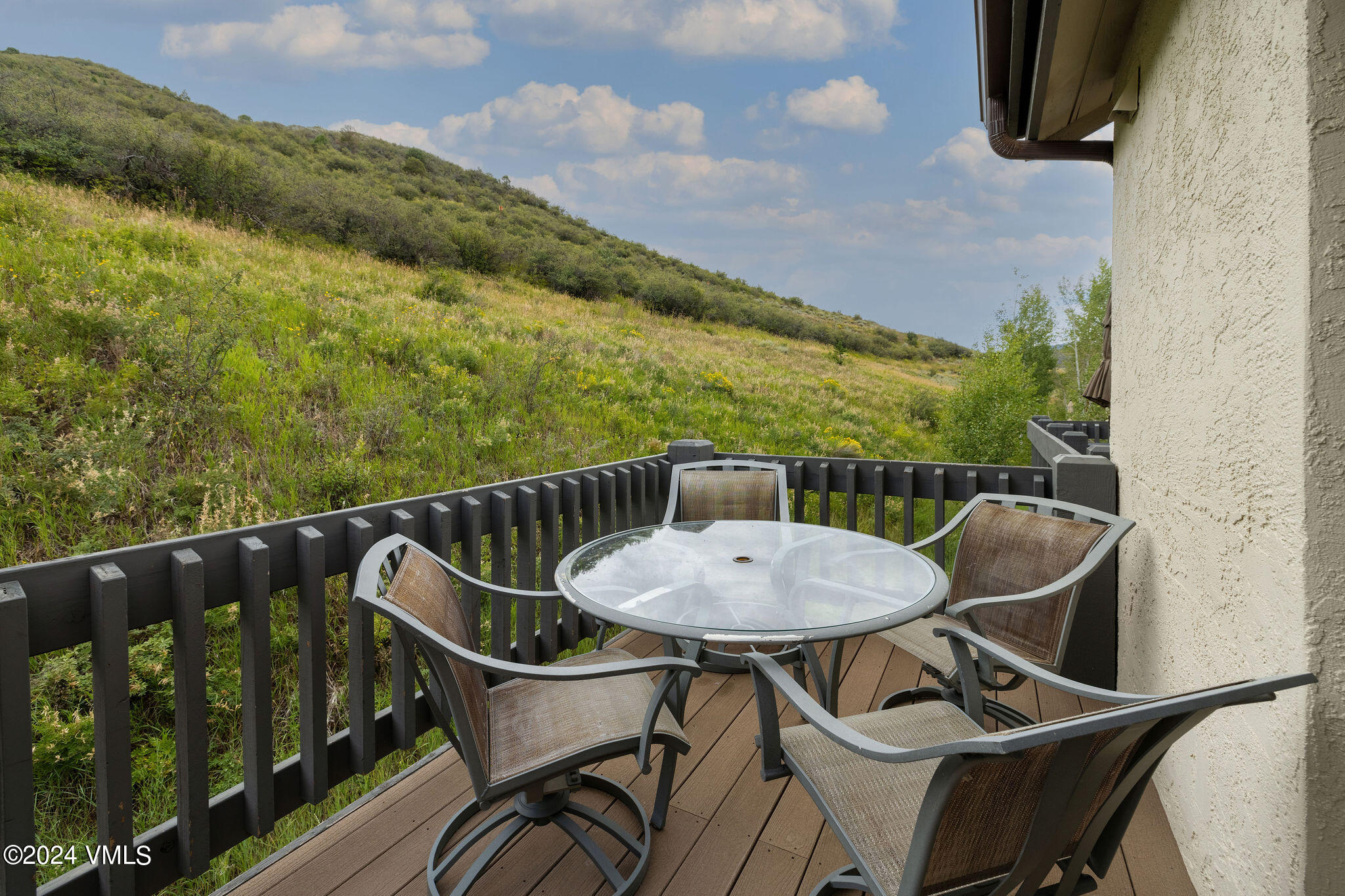 186 Willis Place, Unit 186 Beaver Creek, CO 81620 - Photo 17 of 28 Back Patio
