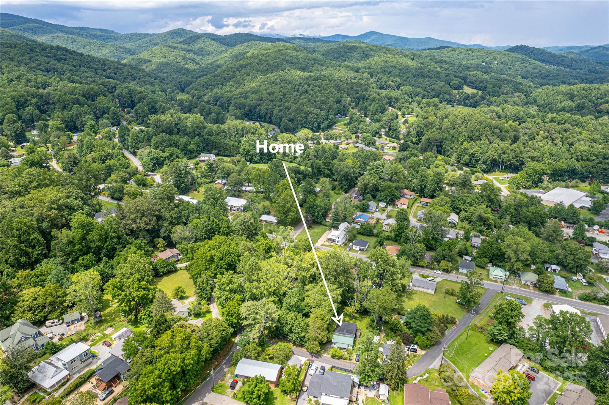 27 Curlee Street Brevard, NC 28712 - Photo 29 of 30 a view of a forest with a street