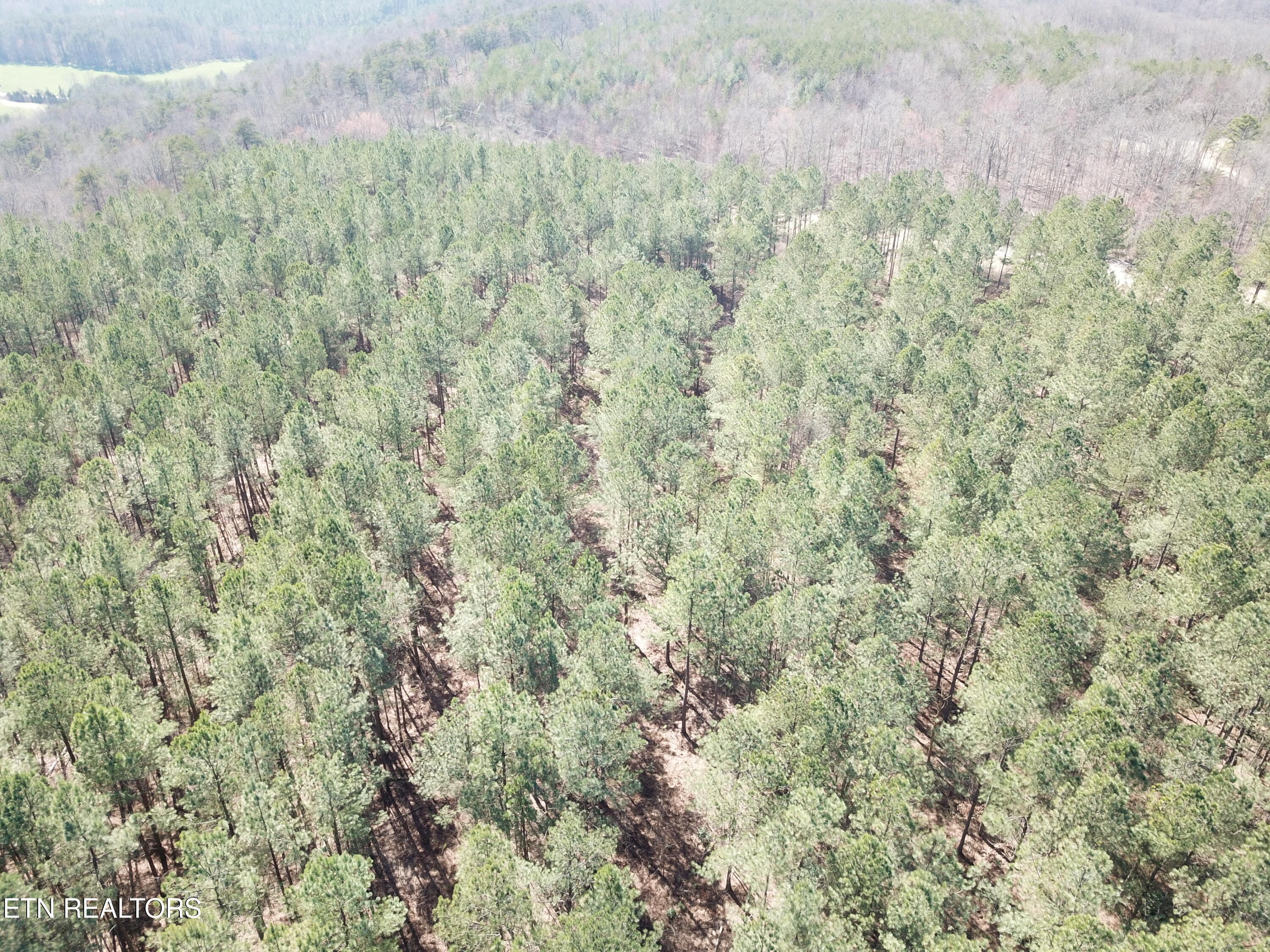 Buckridge Road Crossville, TN 38572 - Photo 17 of 26 DJI_0077