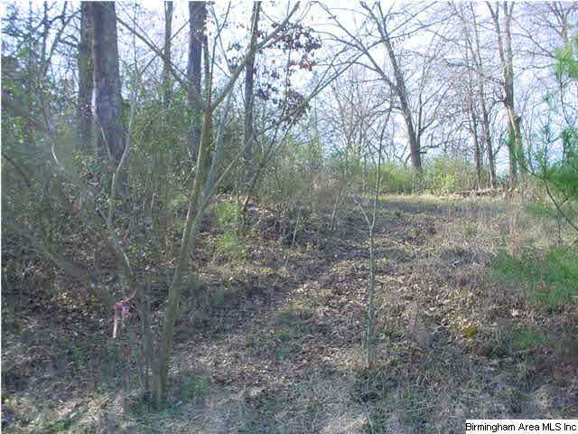 2755 Westover Road, Unit 1 9 AC Sterrett, AL 35147 - Photo 5 of 6