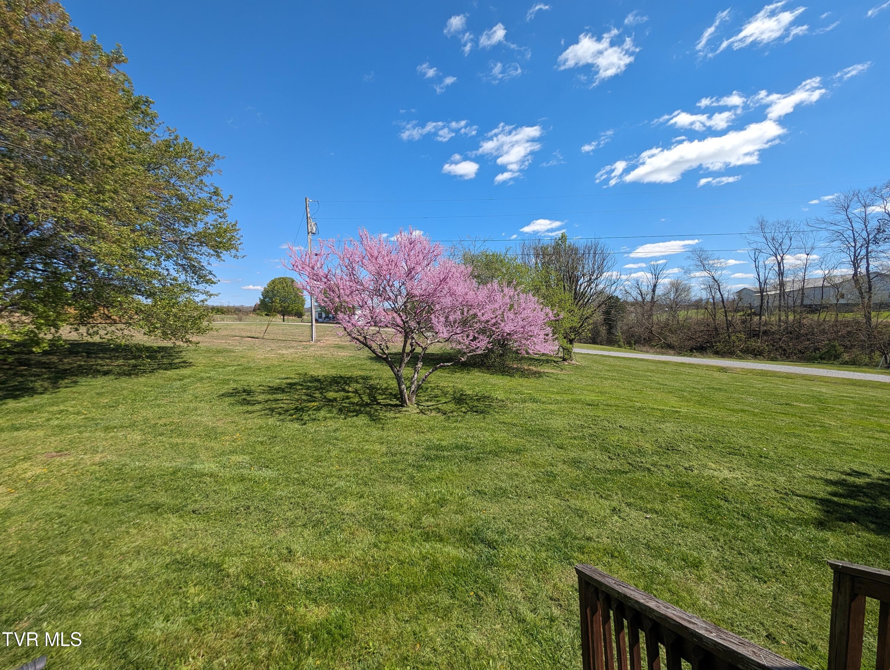 75 Fiesta Lane Greeneville, TN 37745 - Photo 1 of 2 PXL_20240406_184940910.MP