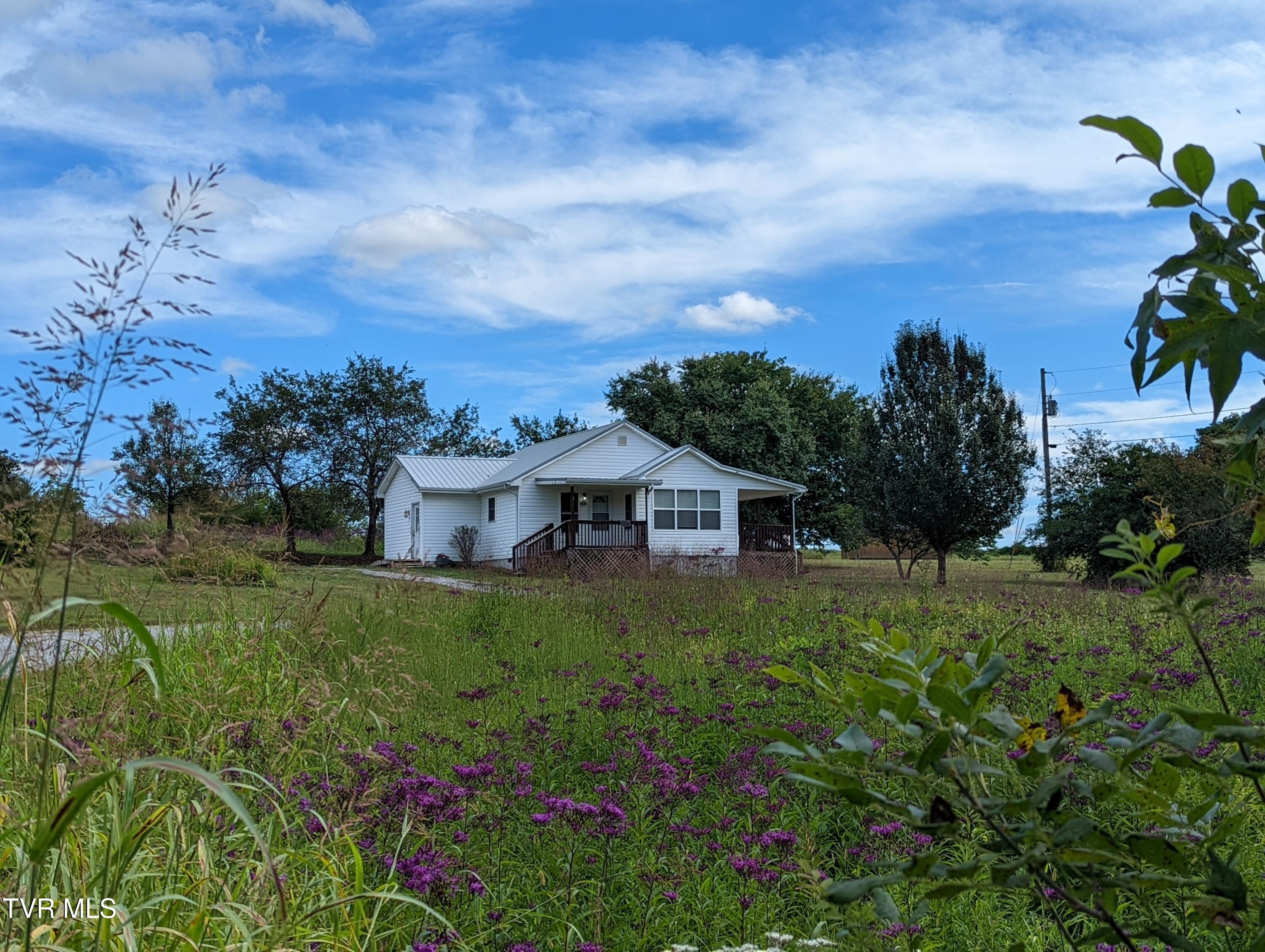 75 Fiesta Lane Greeneville, TN 37745 - Photo 2 of 2 PXL_20220909_151222815