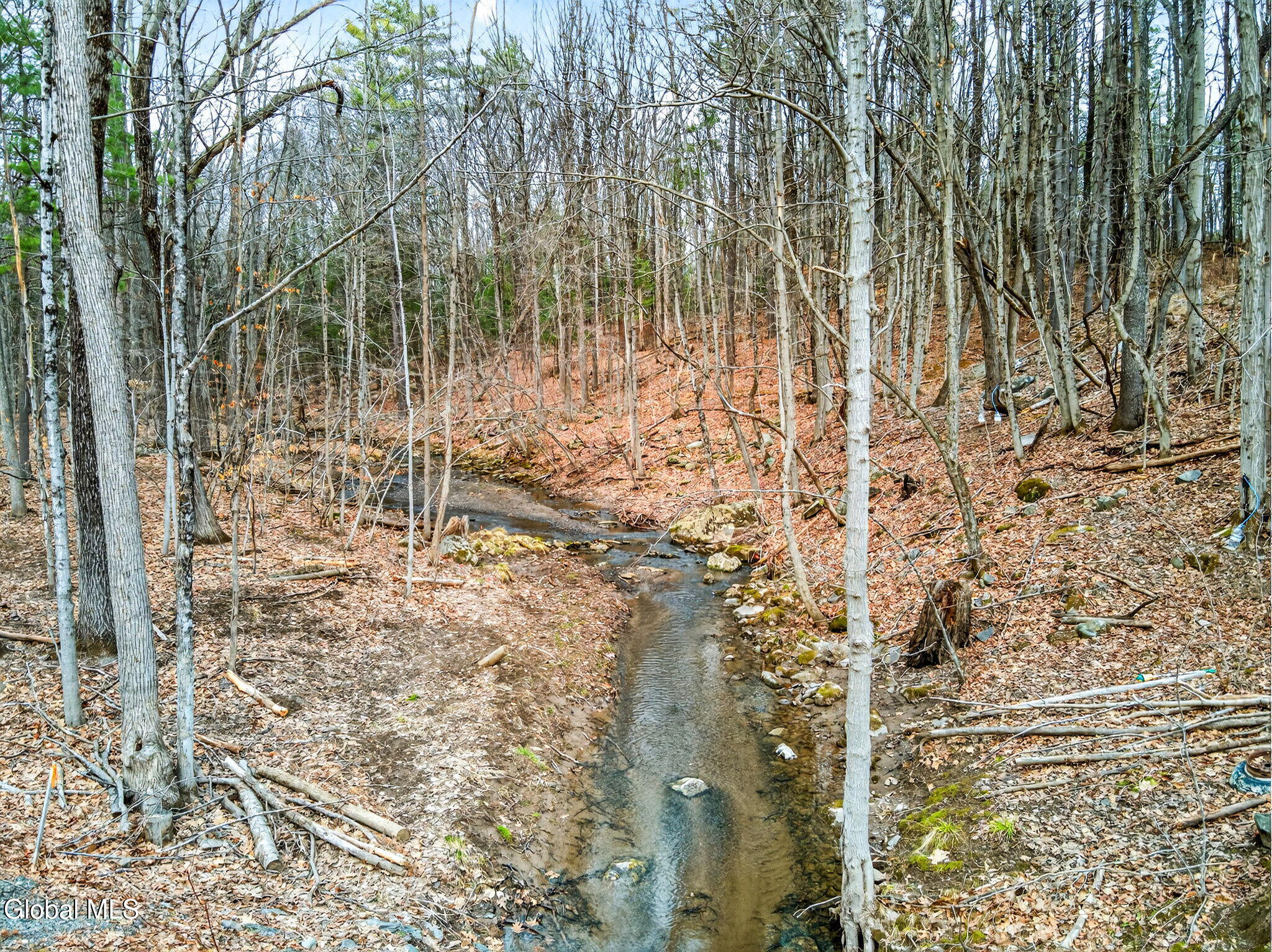 144 1st Dyke Road Sand Lake, NY 12018 - Photo 26 of 32 26-web-or-mls-026_DJI_0995