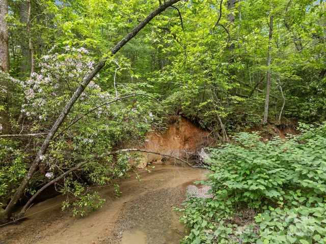 $165,000 | 0 Red Fox Lane, Unit 19, Flat Rock, NC 28731