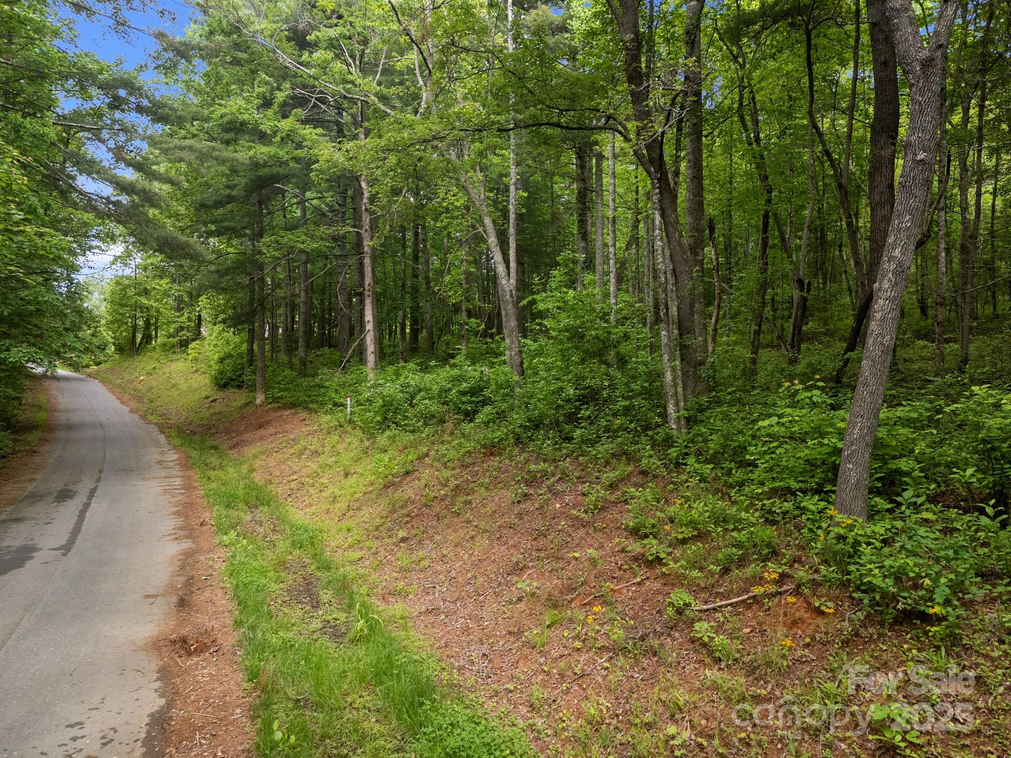 0 Red Fox Lane, Unit 19 Flat Rock, NC 28731 - Photo 15 of 24 a view of forest
