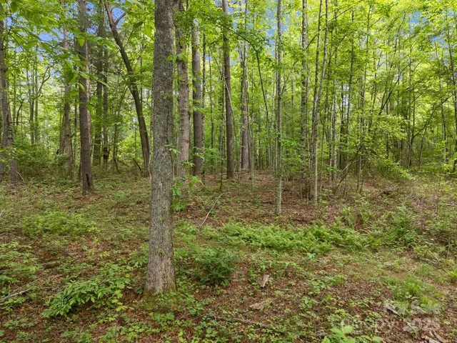 $165,000 | 0 Red Fox Lane, Unit 19, Flat Rock, NC 28731