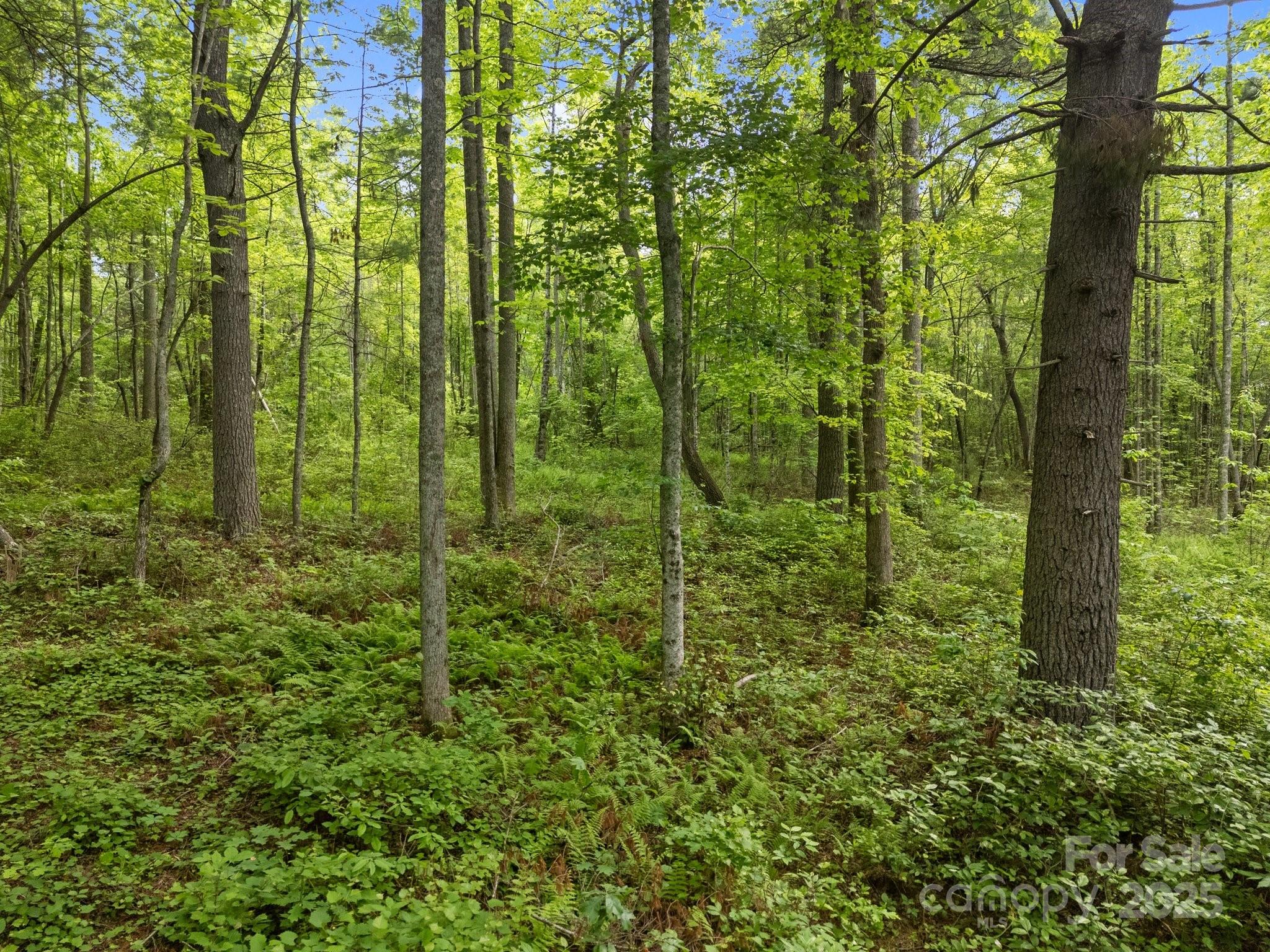 0 Red Fox Lane, Unit 19 Flat Rock, NC 28731 - Photo 20 of 24 a view of outdoor space and green space