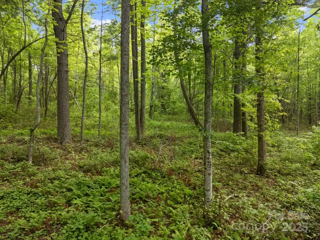 $165,000 | 0 Red Fox Lane, Unit 19, Flat Rock, NC 28731