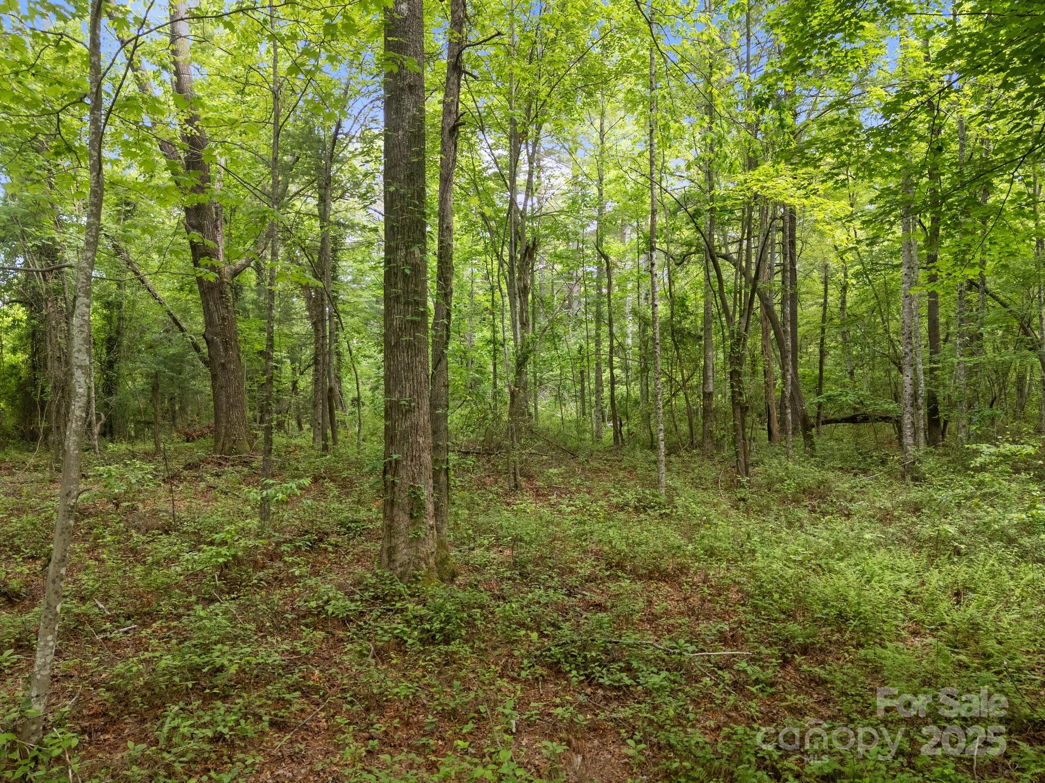 0 Red Fox Lane, Unit 19 Flat Rock, NC 28731 - Photo 23 of 24 a view of outdoor space and green space