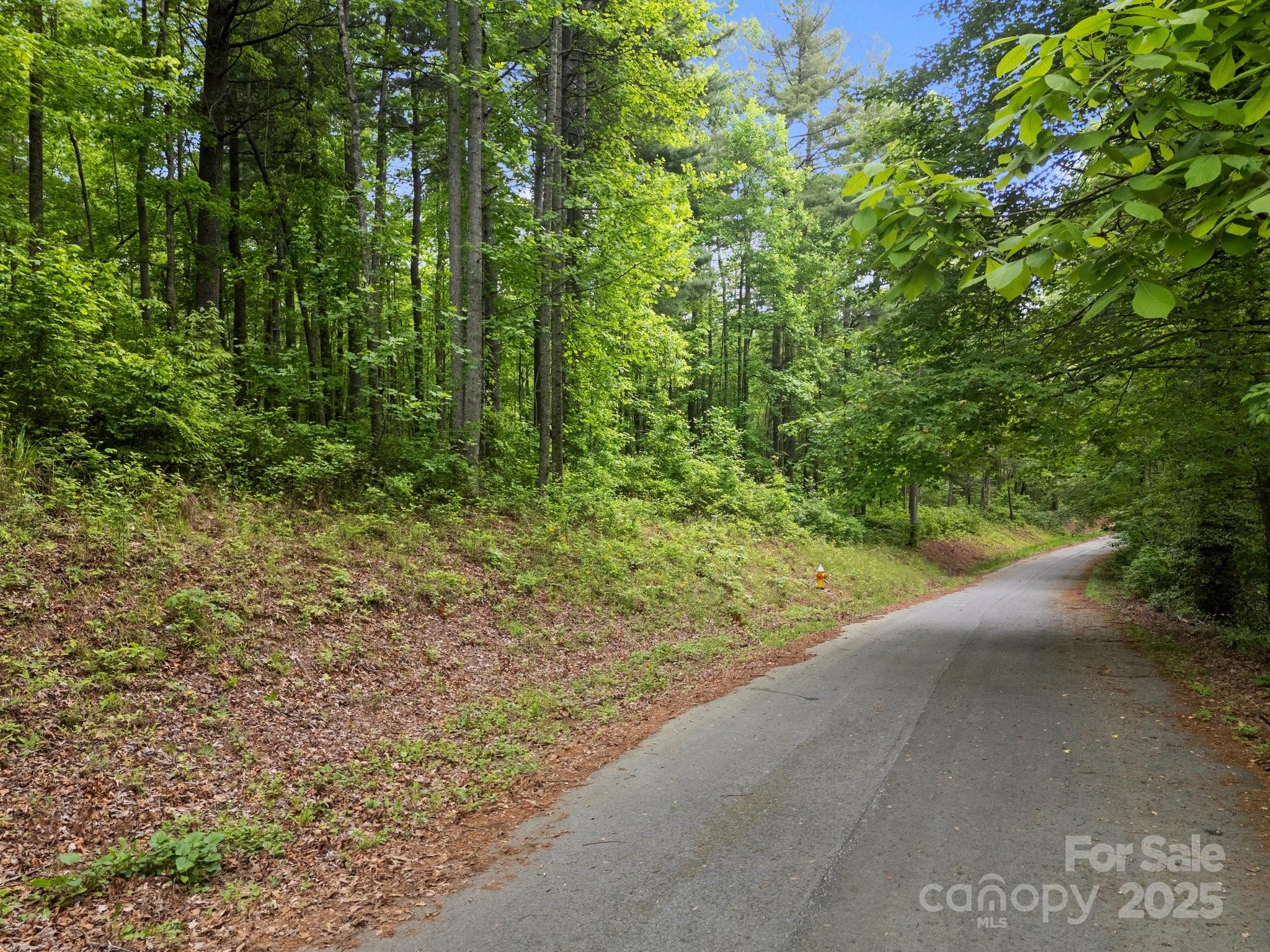 0 Red Fox Lane, Unit 19 Flat Rock, NC 28731 - Photo 24 of 24 a view of a yard with plants and large trees