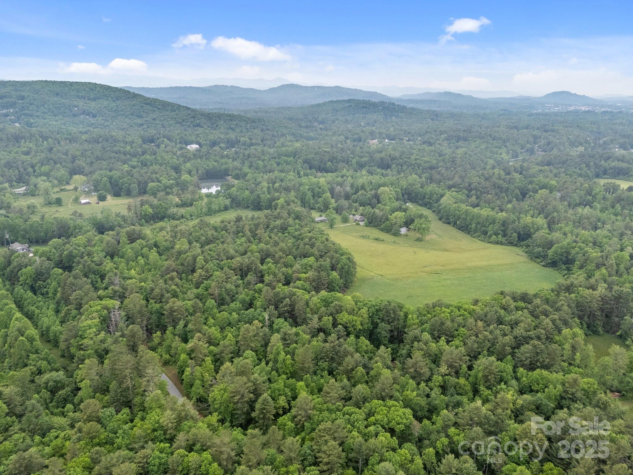 0 Red Fox Lane, Unit 19 Flat Rock, NC 28731 - Photo 3 of 24 a view of a field with an ocean view