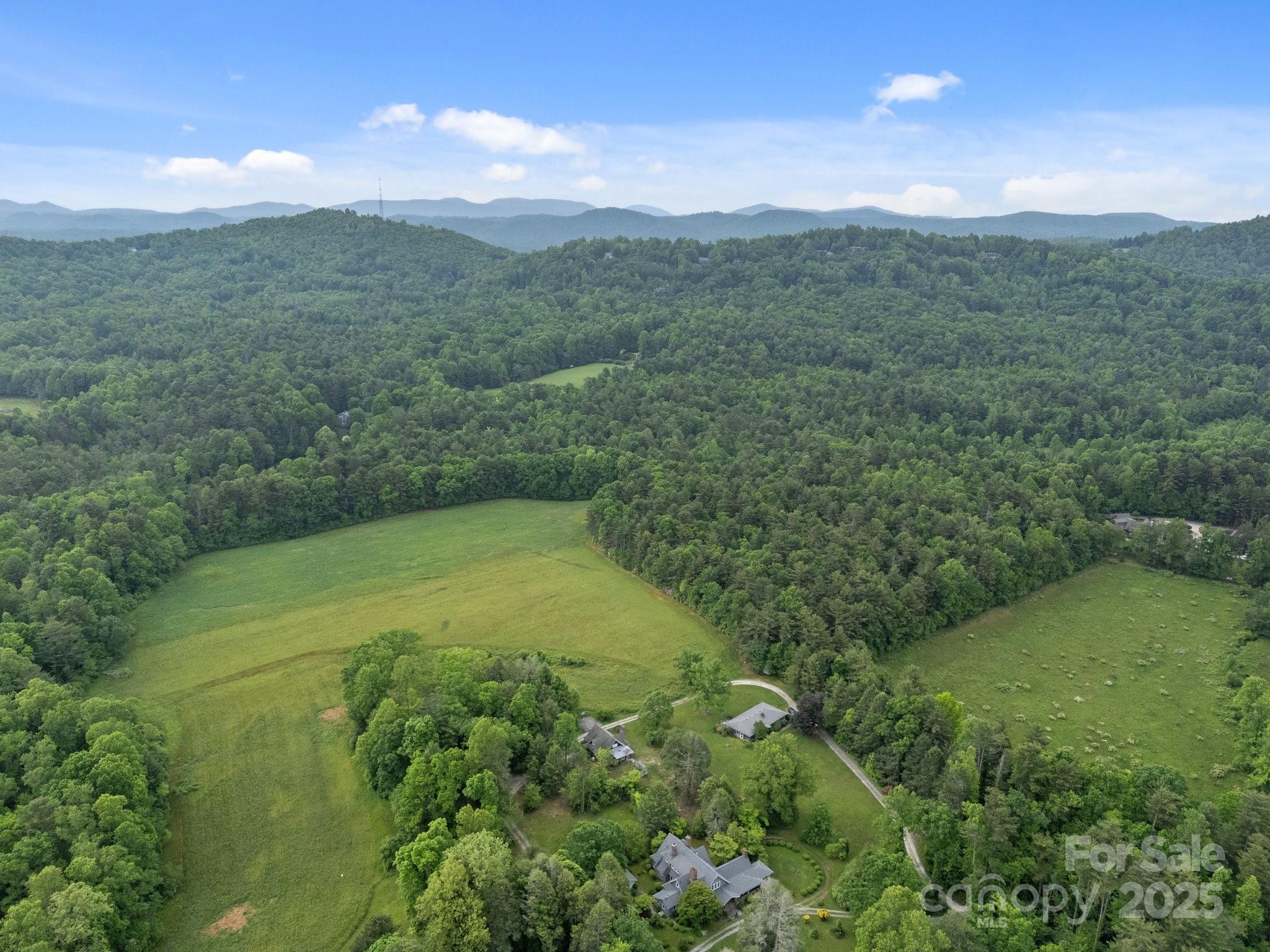 0 Red Fox Lane, Unit 19 Flat Rock, NC 28731 - Photo 4 of 24 a view of a lush green forest with trees and a houses