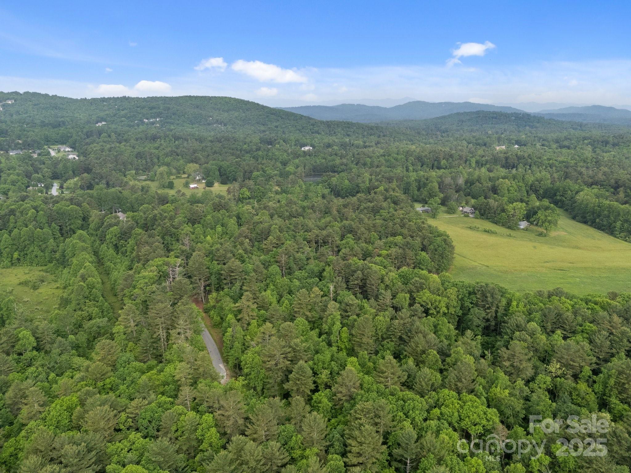 0 Red Fox Lane, Unit 19 Flat Rock, NC 28731 - Photo 5 of 24 a view of a city with lush green forest
