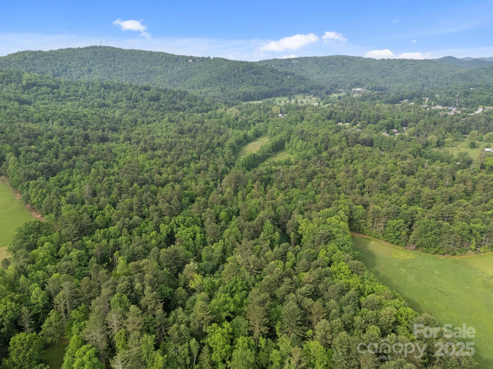 0 Red Fox Lane, Unit 19 Flat Rock, NC 28731 - Photo 6 of 24 a view of a lush green forest with mountains in the background