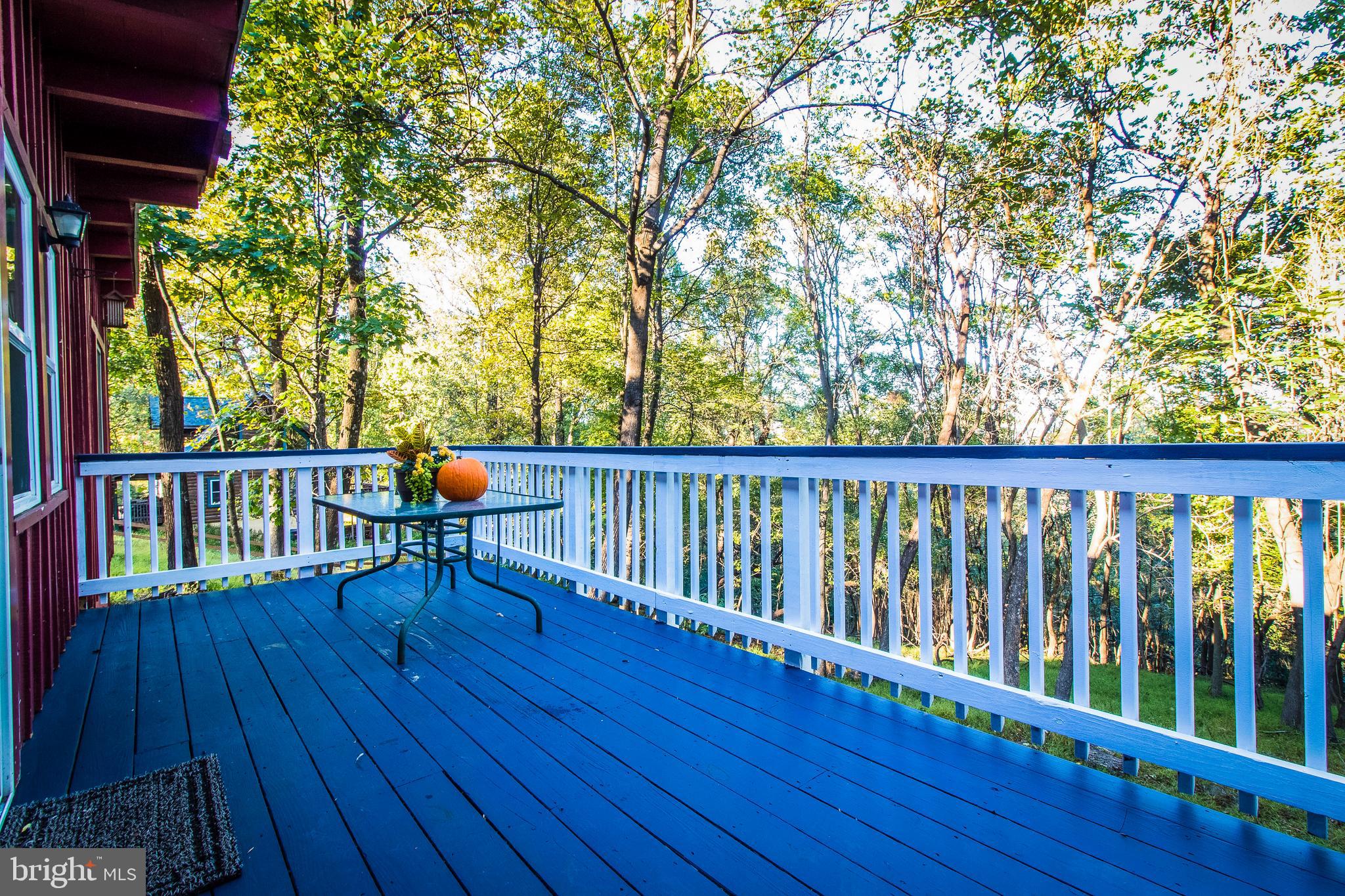 193 Split Rail Road Front Royal, VA 22630 - Photo 22 of 29