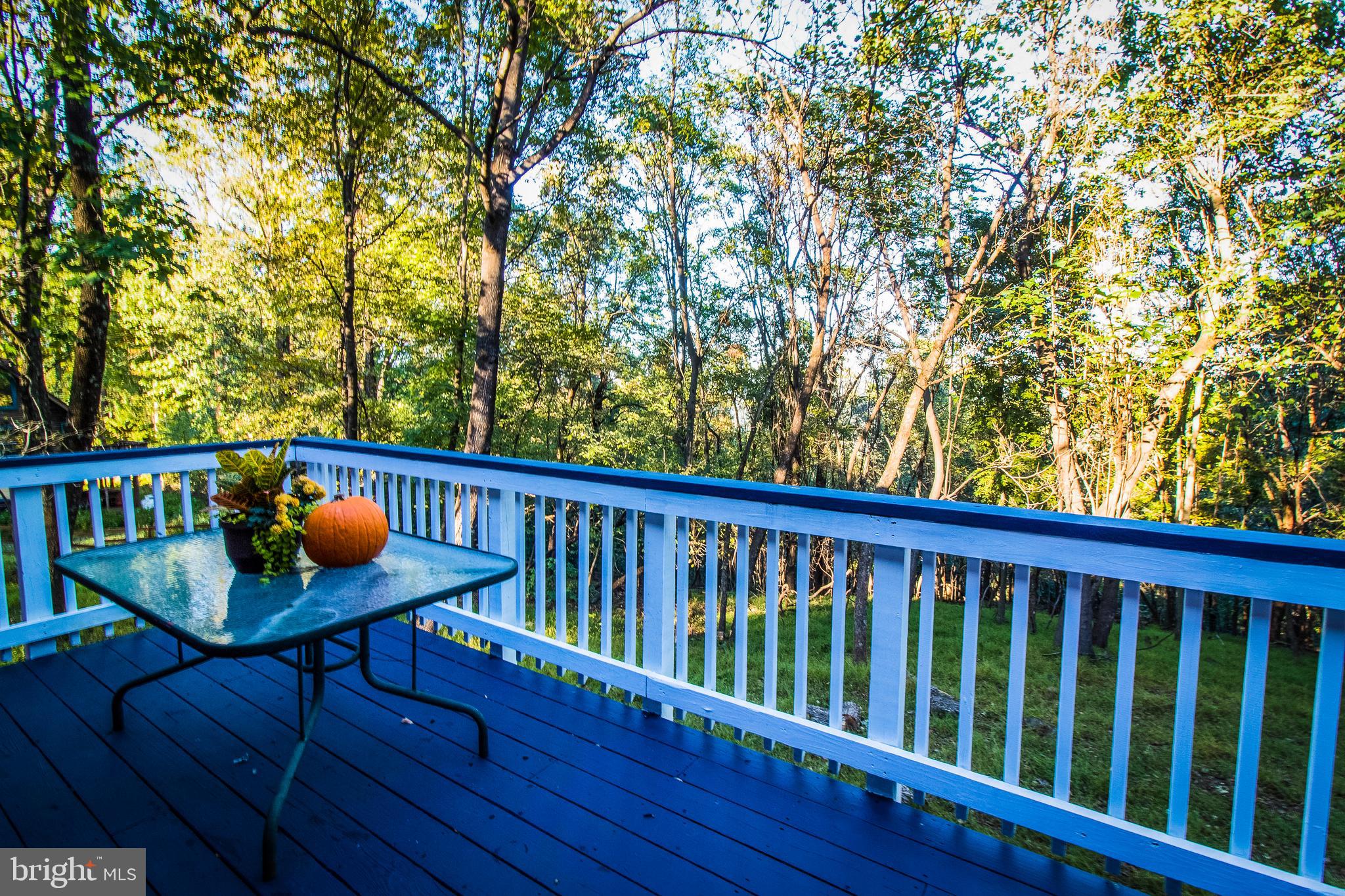 193 Split Rail Road Front Royal, VA 22630 - Photo 23 of 29