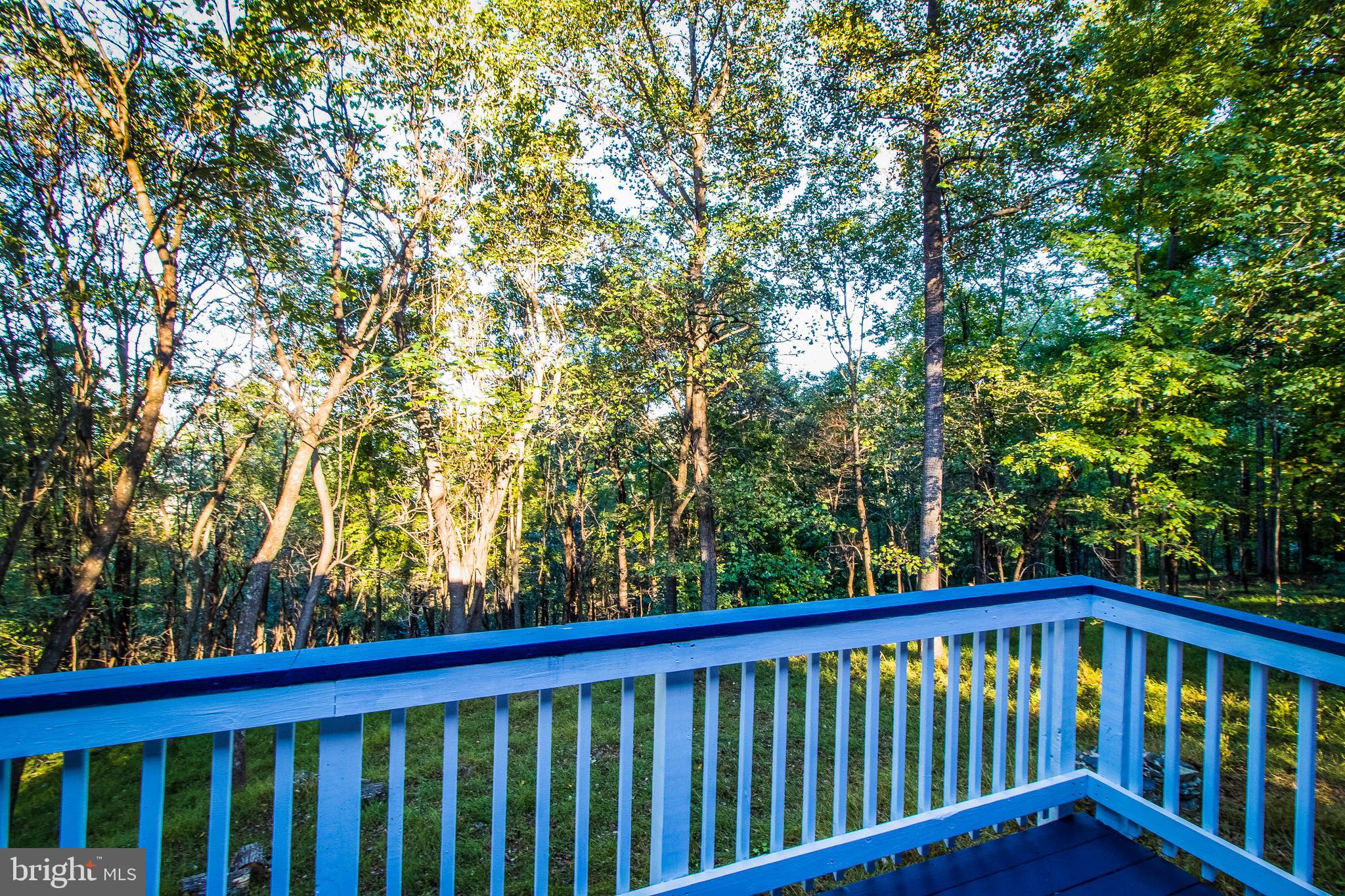193 Split Rail Road Front Royal, VA 22630 - Photo 24 of 29