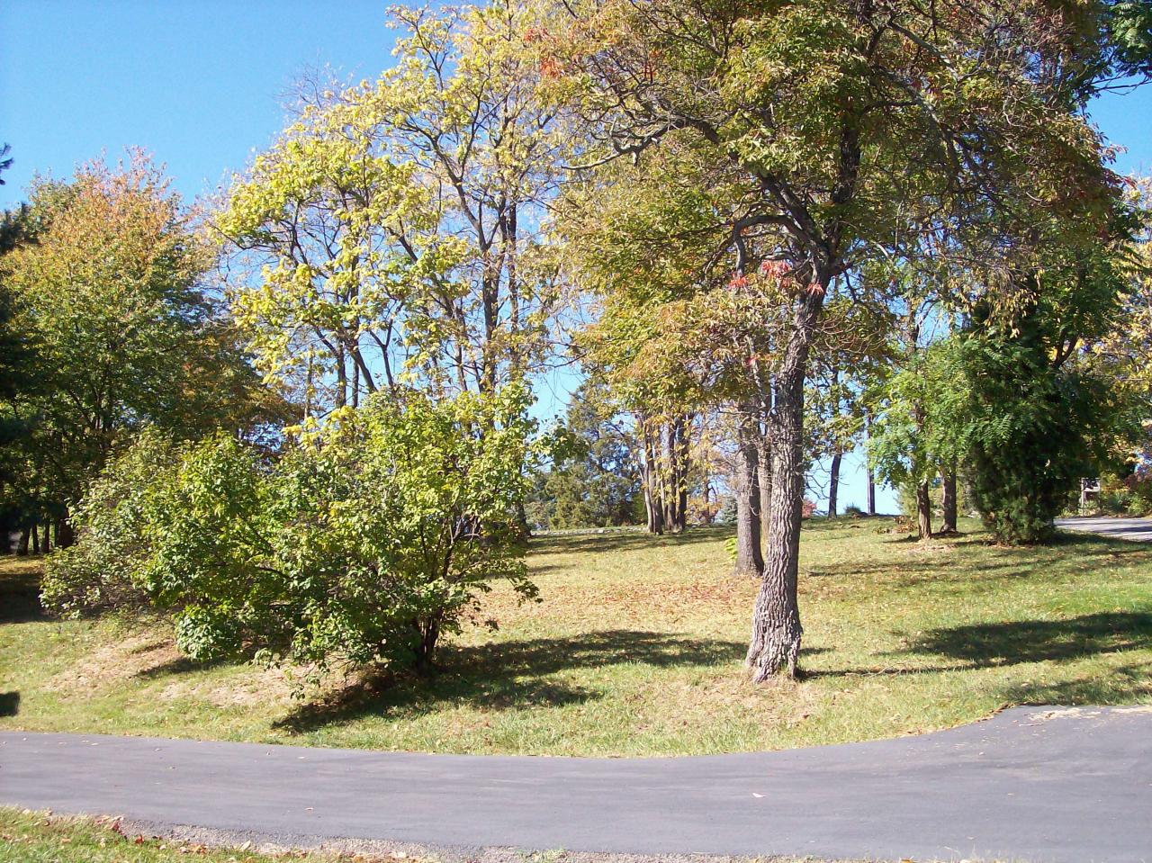 1595 Beaumont Road Roanoke, VA 24019 - Photo 12 of 13 Driveway