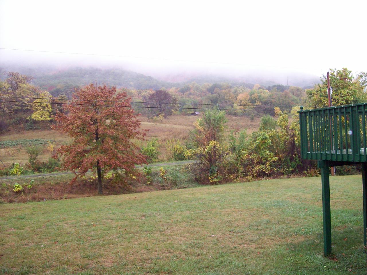 1595 Beaumont Road Roanoke, VA 24019 - Photo 7 of 13 Yard